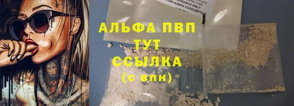 индика Балабаново