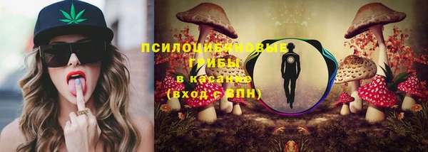 индика Балабаново
